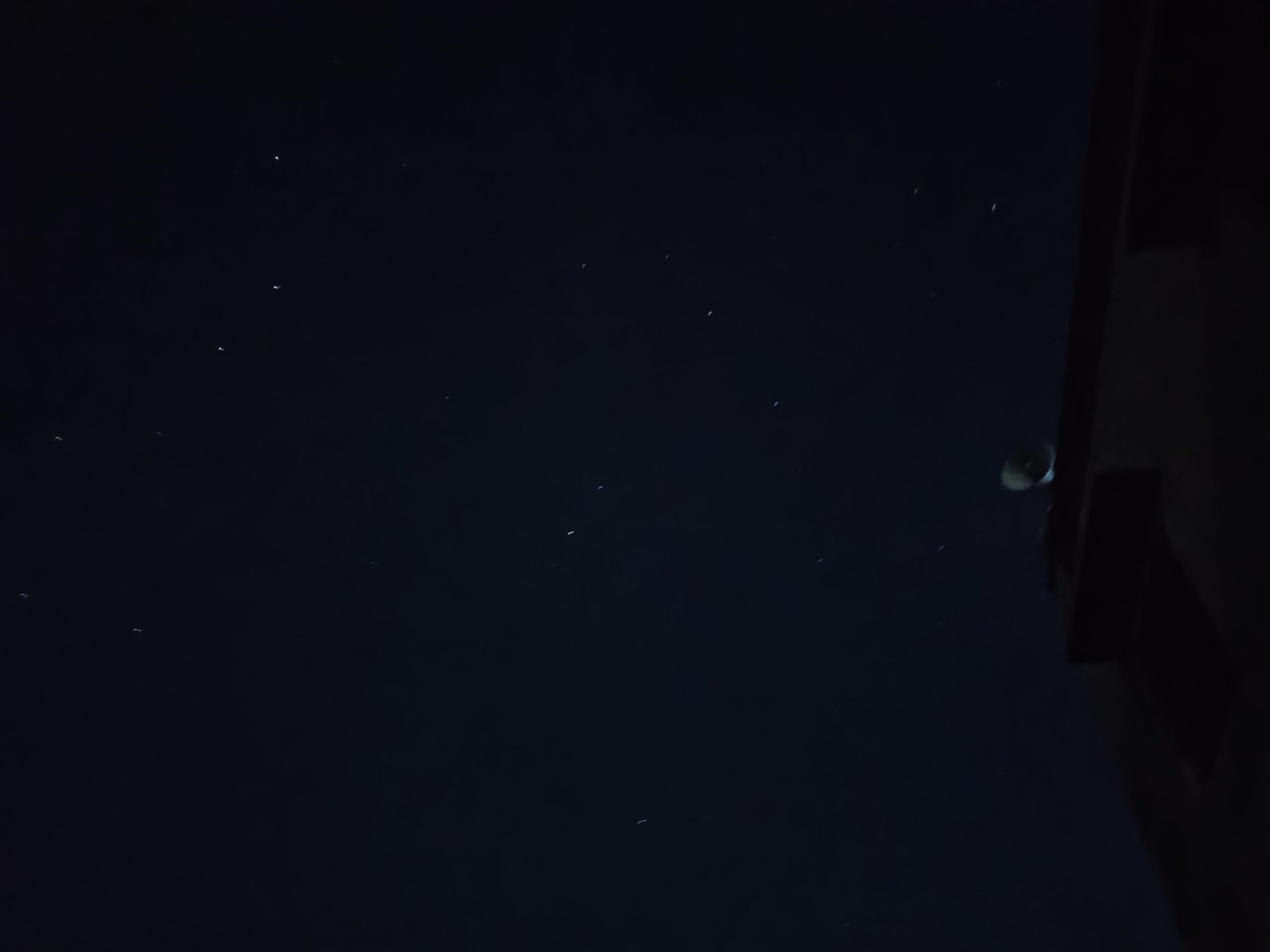 Under Million Stars — A Peaceful Village Night in Rural Punjab